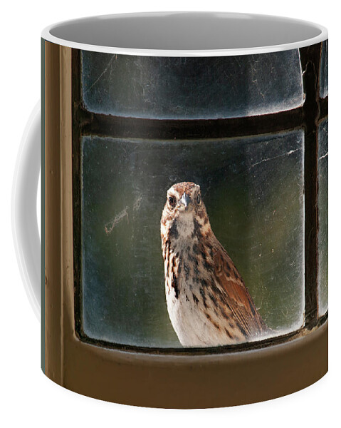 Humor Coffee Mug featuring the photograph Looky Lou by Bill Roberts