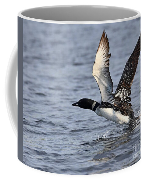 Birds Coffee Mug featuring the photograph Loon Liftoff by Steve Brown