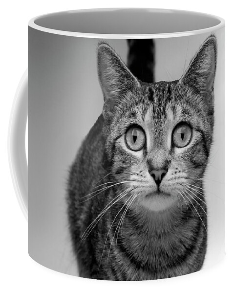 Studio Coffee Mug featuring the photograph Loretta by Robert Dann