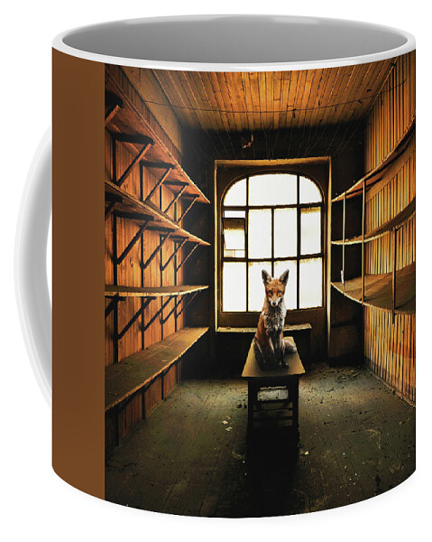 Light Nature Animal Building Old Window Fox Dirty Lost Abandoned Coffee Mug featuring the digital art Lost Animals - Series nr.9 by Zoltan Toth