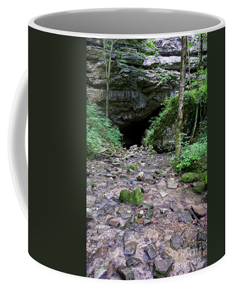 Cumberland Plateau Coffee Mug featuring the photograph Lost Creek Falls 36 by Phil Perkins