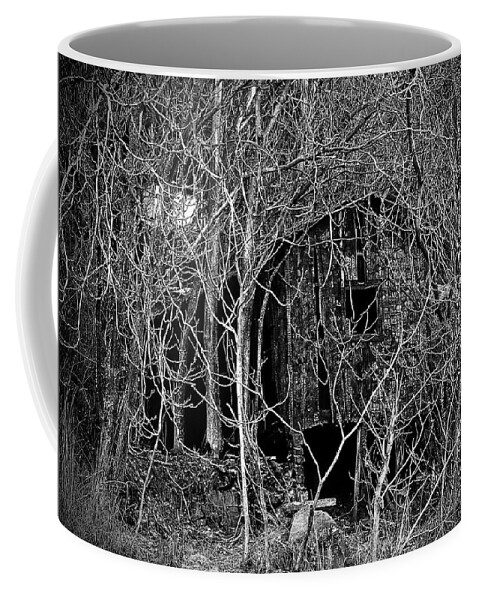  Coffee Mug featuring the digital art Lost In The Trees B/W by Fred Loring
