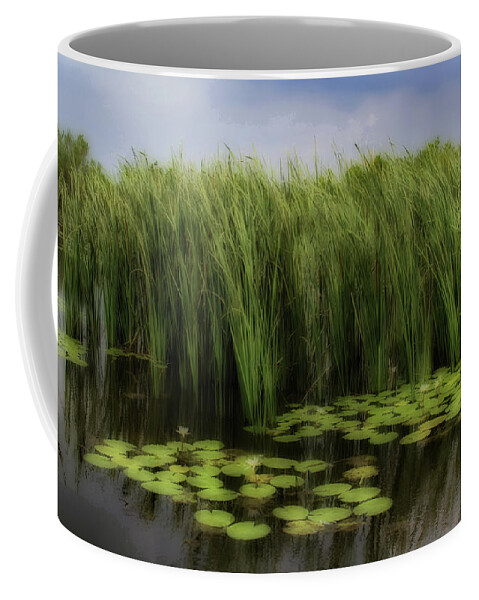 Louisiana Coffee Mug featuring the photograph Louisiana Bayou by Neala McCarten