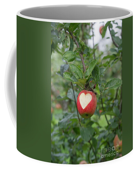 Apples Coffee Mug featuring the photograph Love Apples by Tim Gainey