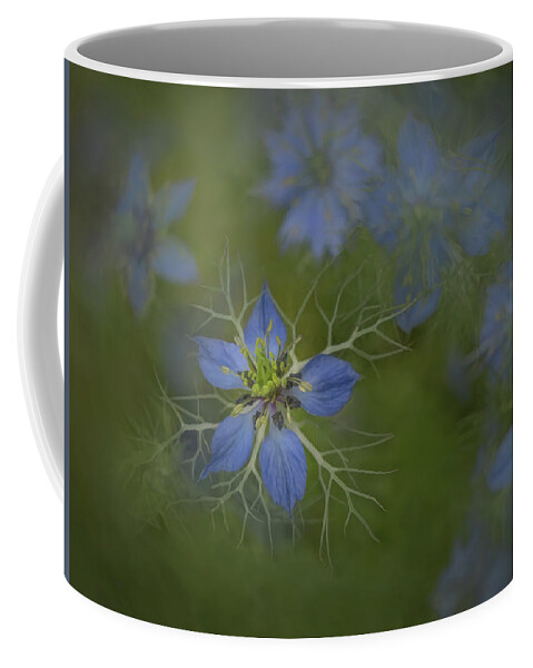 Love In A Mist Coffee Mug featuring the photograph Love in a Mist in Nature by Sylvia Goldkranz