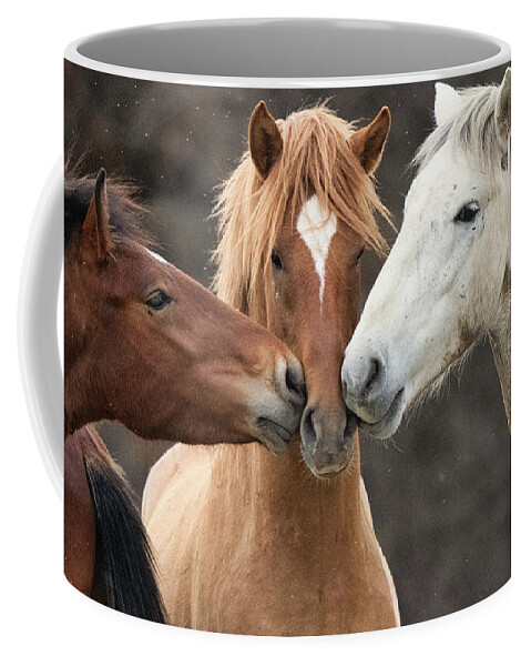 Stallions Coffee Mug featuring the photograph Love Not War by Shannon Hastings