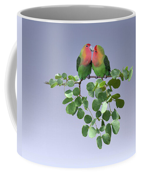 Birds Coffee Mug featuring the mixed media Lovebirds in Knob Thorn Tree by M Spadecaller