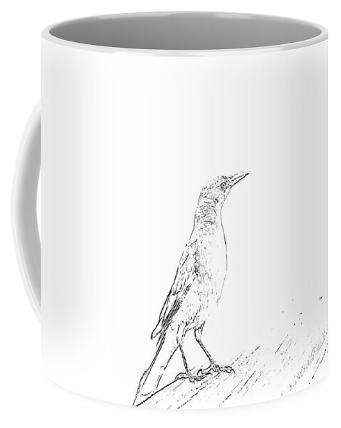 Grackle Coffee Mug featuring the mixed media Lovely Bird Sketch by Alison Frank