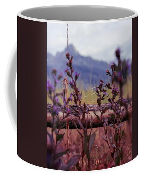 Mountain Coffee Mug featuring the photograph Lovely Lavender in Front by Go and Flow Photos