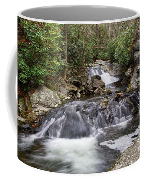 Lynn Camp Falls Coffee Mug featuring the photograph Lower Lynn Camp Falls 11 by Phil Perkins