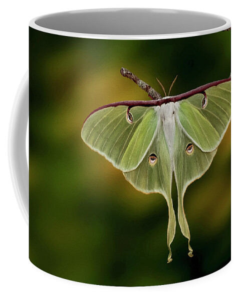 Moth Coffee Mug featuring the digital art Luna Moth by Jerry Dalrymple