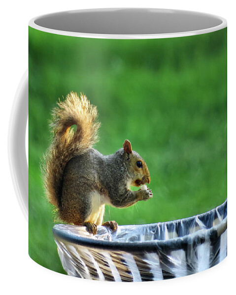 Squirrel Coffee Mug featuring the photograph Lunch by Buddy Scott