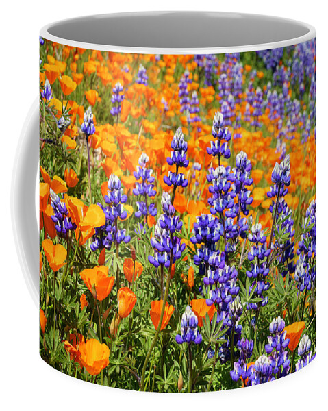 Wildflowers Coffee Mug featuring the photograph Lupine and California Poppies Wildflowers 15 by Lindsay Thomson