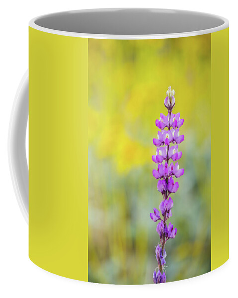 Lupine Coffee Mug featuring the photograph Lupine Bloom Mojave Gold Poppy by Kyle Hanson