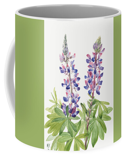Lupine Coffee Mug featuring the painting Lupine, by Mary Vaux Walcott by World Art Collective