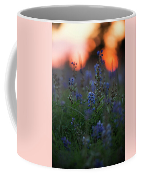  Coffee Mug featuring the photograph Lupine Sunset by Nicole Engstrom