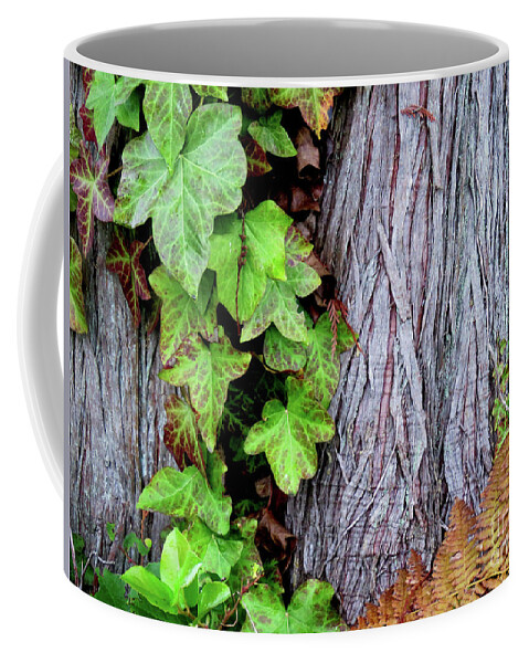 Canada Coffee Mug featuring the photograph Luscious Growth by Mary Mikawoz