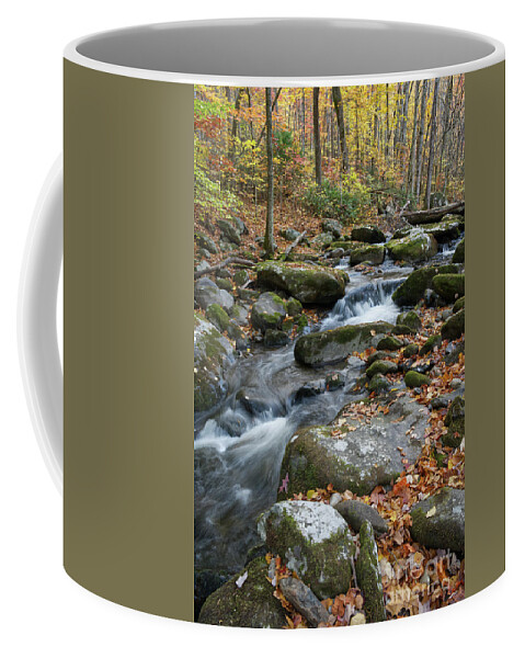 Middle Prong Trail Coffee Mug featuring the photograph Lynn Camp Prong 14 by Phil Perkins