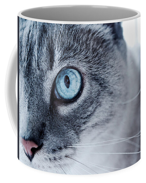 Cat Coffee Mug featuring the photograph Lynx Point Kitty by Rachel Morrison