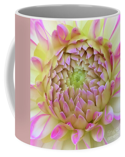 Floral Coffee Mug featuring the digital art Macro Bright Pink, Yellow And White Dahlia Bloom by Kirt Tisdale