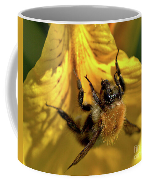 Nature Coffee Mug featuring the photograph Macro of Bee on Iris Bloom by Stephen Melia