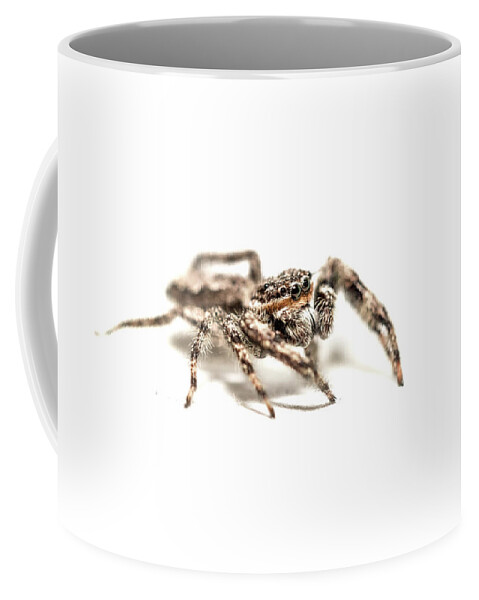 Animals Coffee Mug featuring the photograph Macro Photography - Spider Profile by Amelia Pearn