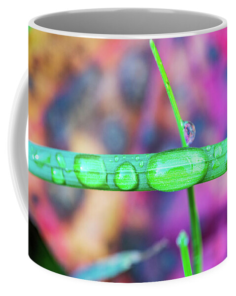 Grass Coffee Mug featuring the photograph Macro Photography - Water Drops on Grass by Amelia Pearn
