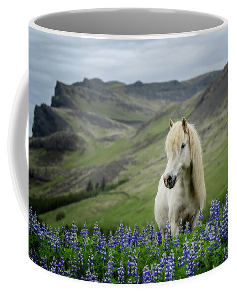 Iceland Coffee Mug featuring the photograph Made in Iceland by Phyllis Burchett