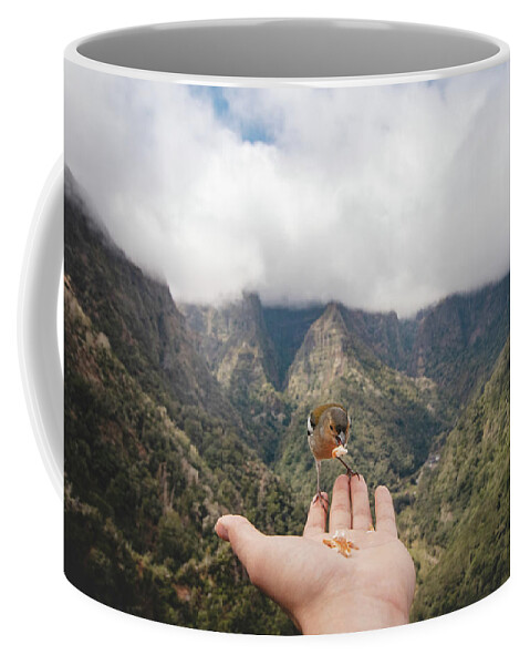 Balcoes Viewpoint Coffee Mug featuring the photograph Madeiran chaffinch has flown to the man's hand for food crumbs by Vaclav Sonnek