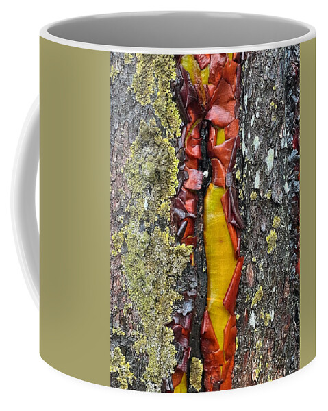 Abstract Coffee Mug featuring the photograph Madrone Tree Bark Abstract by Jerry Abbott
