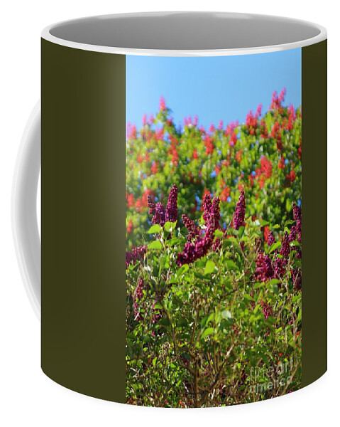 Lilac Coffee Mug featuring the photograph Magenta Lilac by Kimberly Furey