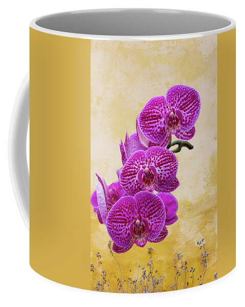 Magenta Coffee Mug featuring the photograph Magenta Moth Orchids by Cate Franklyn