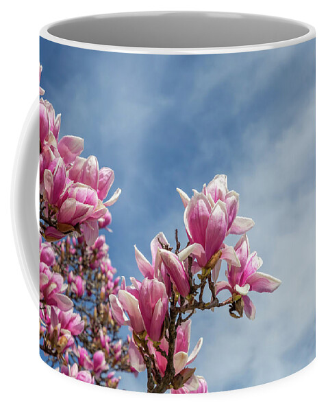 Magnolia Coffee Mug featuring the photograph Magenta Petals by Cate Franklyn