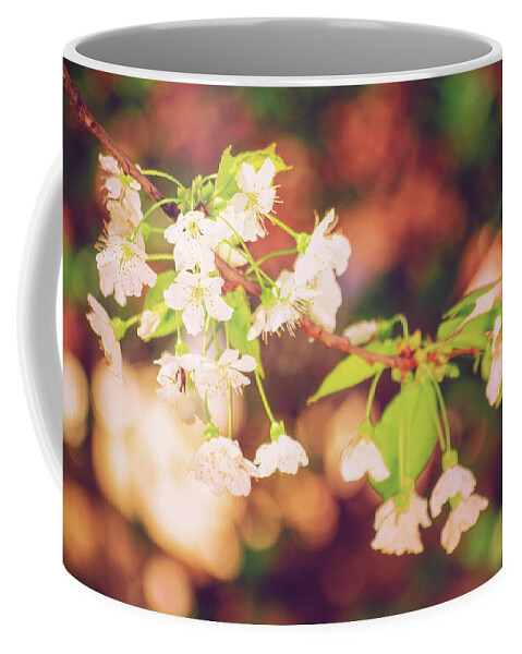 Wild Cherry Coffee Mug featuring the photograph Magical bokeh close up of a blooming sweet cherry tree by Mendelex Photography