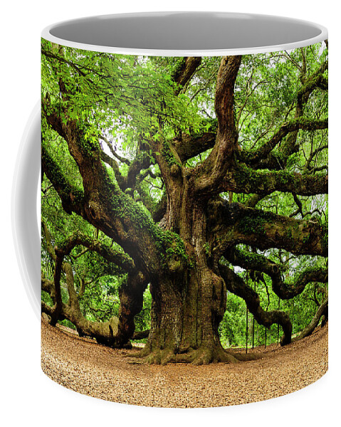 Charleston Coffee Mug featuring the photograph Mystical Angle Oak Tree larger image by Louis Dallara