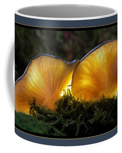 Mushrooms Coffee Mug featuring the photograph Magnificent Mushrooms by Nancy Ayanna Wyatt