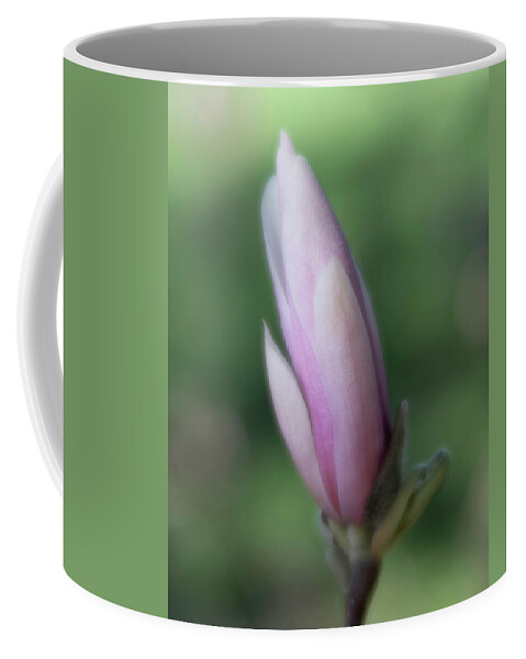 Magnolia Coffee Mug featuring the photograph Magnolia Bud by Forest Floor Photography