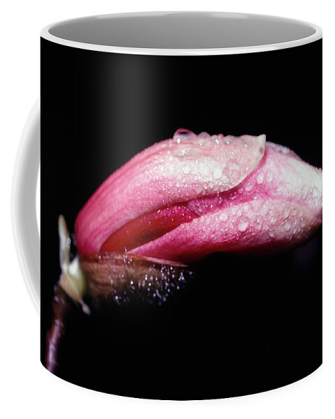 Magnolia Coffee Mug featuring the photograph Magnolia Bud by Steven Nelson