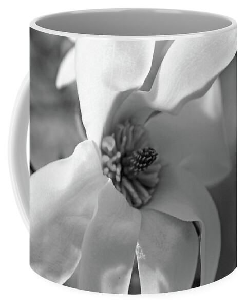 Magnolia Coffee Mug featuring the photograph Magnolia5471 BW by Carolyn Stagger Cokley