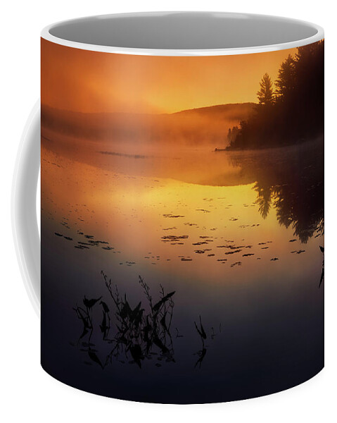 Landscape Coffee Mug featuring the photograph Maine Compass Pond 34A4045 by Greg Hartford