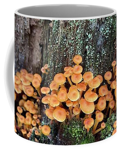 Mushrooms Coffee Mug featuring the photograph Majestic Mushrooms #28 by Anjel B Hartwell