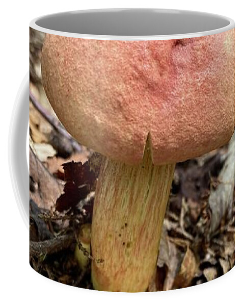 Mushroom Coffee Mug featuring the photograph Majestic Mushrooms #50 by Anjel B Hartwell