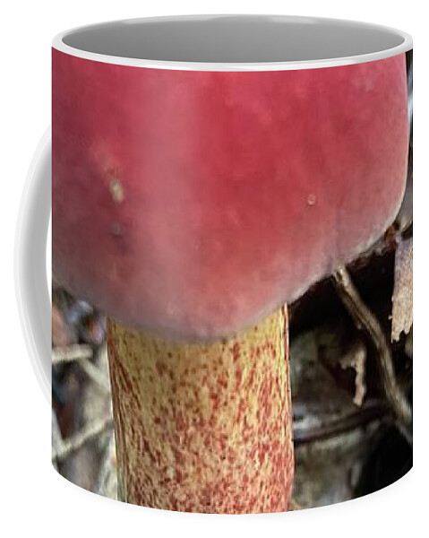 Mushroom Coffee Mug featuring the photograph Majestic Mushrooms #98 by Anjel B Hartwell