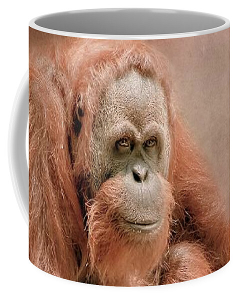 Gorilla Coffee Mug featuring the photograph Majestic Orangutan by Marjorie Whitley