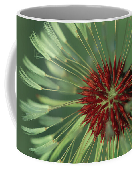 Mountain Coffee Mug featuring the photograph Make a Wish by Go and Flow Photos