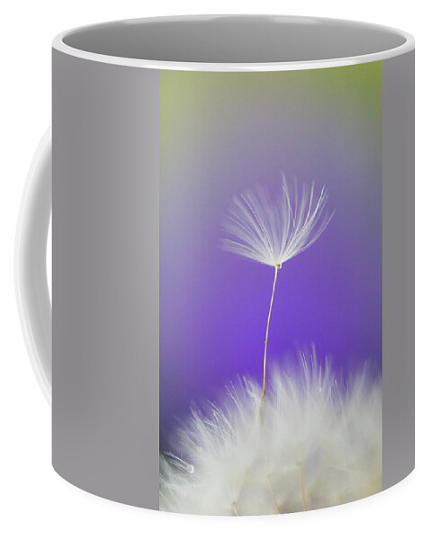 Abstract Coffee Mug featuring the photograph Make a Wish - on Purple by Anita Nicholson