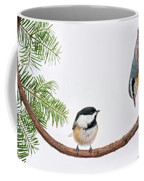 Birds Coffee Mug featuring the photograph Making an Entrance? by Peg Runyan