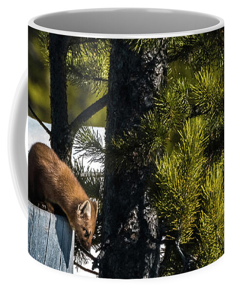 Pine Marten Coffee Mug featuring the photograph Making The Big Jump by Yeates Photography