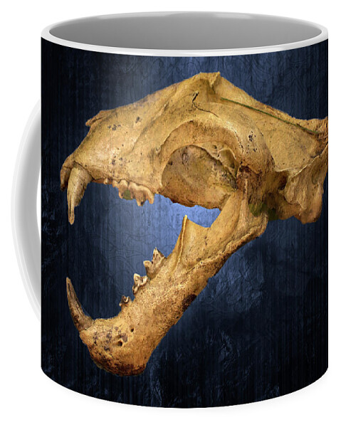 Tiger Coffee Mug featuring the photograph Malayan Tiger Skull Blue Background by Mark Andrew Thomas