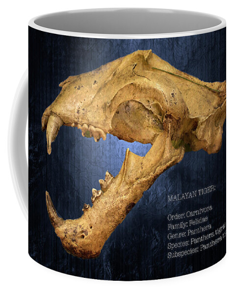 Tiger Coffee Mug featuring the photograph Malayan Tiger Skull Poster With Text by Mark Andrew Thomas